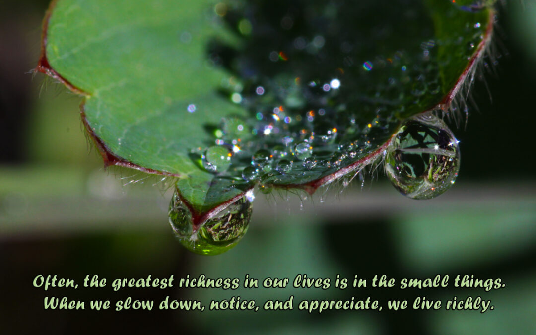 Do you know about the well?